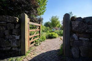 A255BC85-BB82-469A-B961-7CCE8C804241