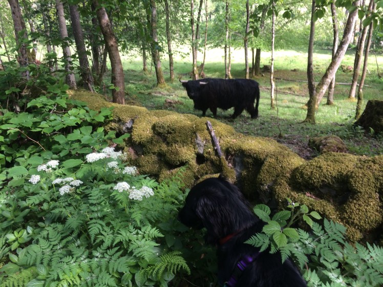 1AD79B08-0E7B-4EF7-B799-72159B988A89