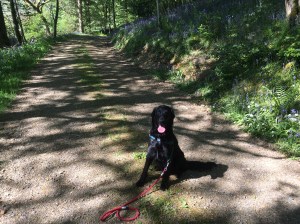 E3FF67D0-1A58-4B18-A206-D37105B2E7B6